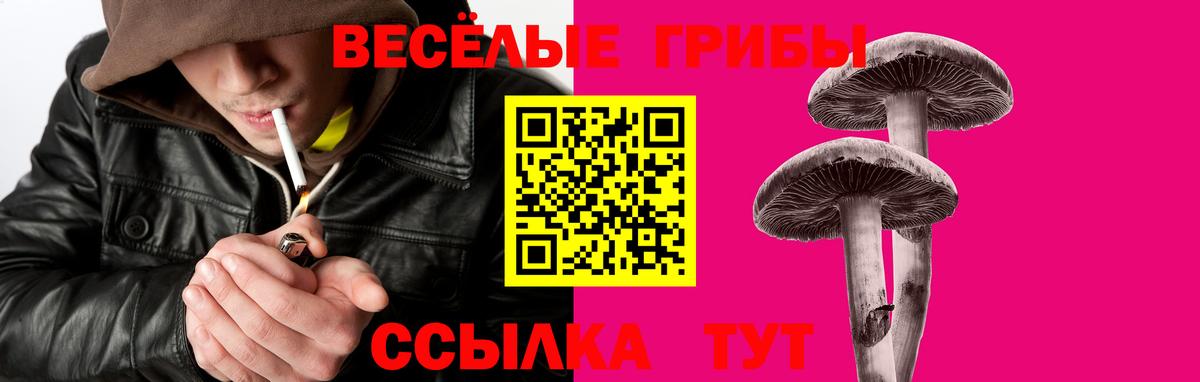 Десногорск  Псилоцибиновые грибы Cubensis  Вход с VPN  Псилоцибиновые грибы MAGIC MUSHROOMS 